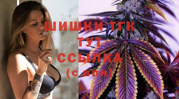 крисы Надым