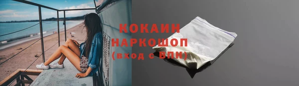 крисы Надым