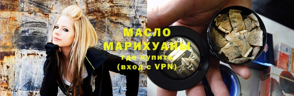 крисы Надым