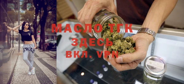 крисы Надым